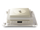 Model2000 P